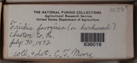 Image Associated With the Occurence